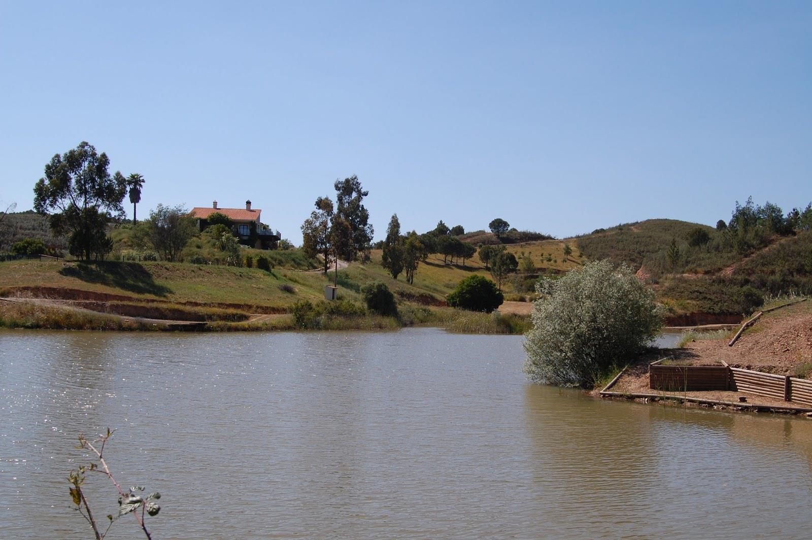 pescuitul+natura - dsc0121.JPG